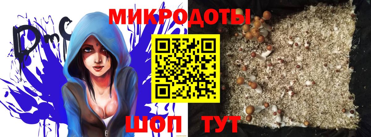 Псилоцибиновые грибы Psilocybine cubensis Отрадное