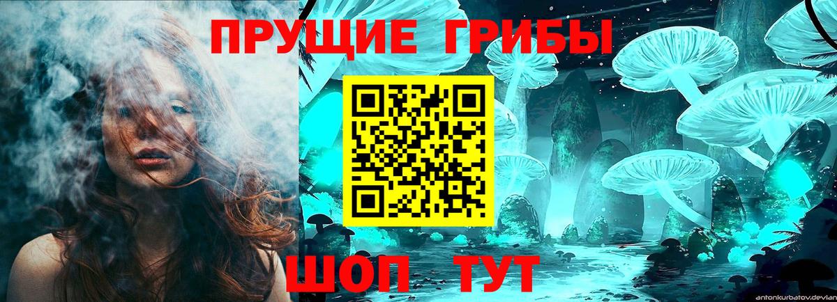 Псилоцибиновые грибы мухоморы  Псилоцибиновые грибы Psilocybe  Отрадное  Вход с VPN 